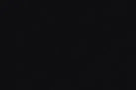 Black Velvet 100% Cotton (Ref-993067)