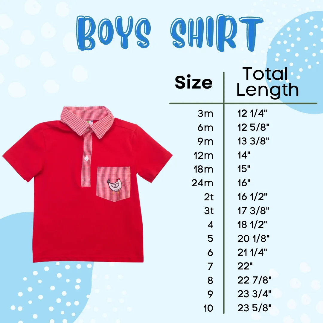 Boys White & Blue Seersucker Shirt Only